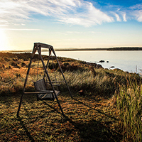 在线短信网页版免费版