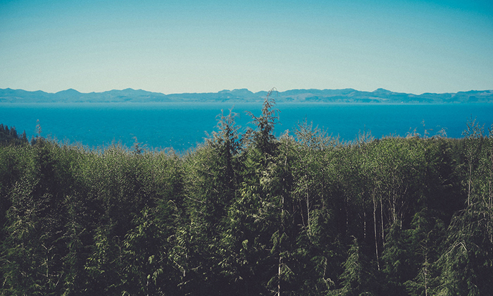 安卓短信轰炸机