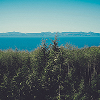 无损服务升级的呼死您软件免费